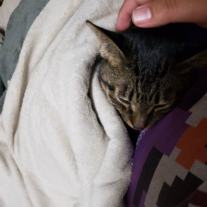 4f7a7416 1479 447b 91d8 15853b6f5b9a 1571743973972