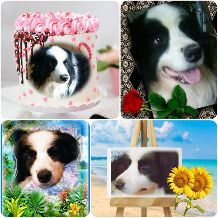 4f7ab0d3 f8d6 4fe2 a952 e41f514ed6aa 1626626456354