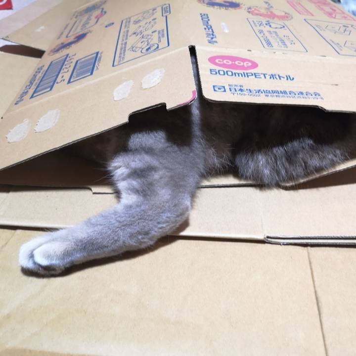 4f7abba4 1a3b 4496 9624 dea031e6c915 1572165098490