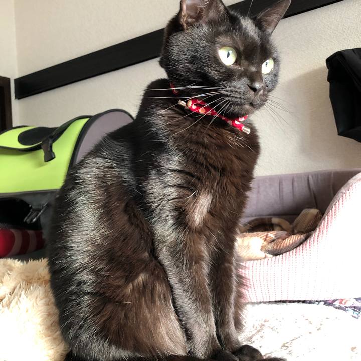 4f7ac5eb 6813 4938 86fe 93ac105cfe6b 1615415434939