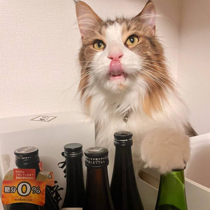 4f7ad8ab 9050 42ef b2b0 19326fd98ff3 1672521616692