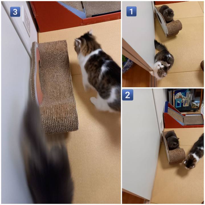 4f7b343c 880a 4668 b909 4f62ed06b9ca 1610015764975