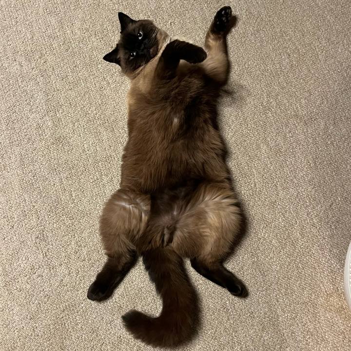 4f7b40c6 69d2 46ec 98f3 550082e0f0df 1686049888047