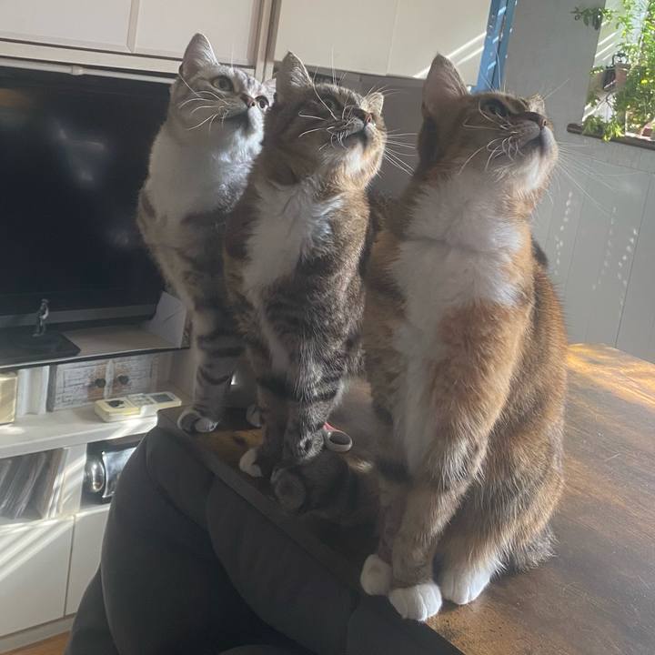 4f7b4ef9 85cc 42f3 ab89 3016675deae6 1767151383761