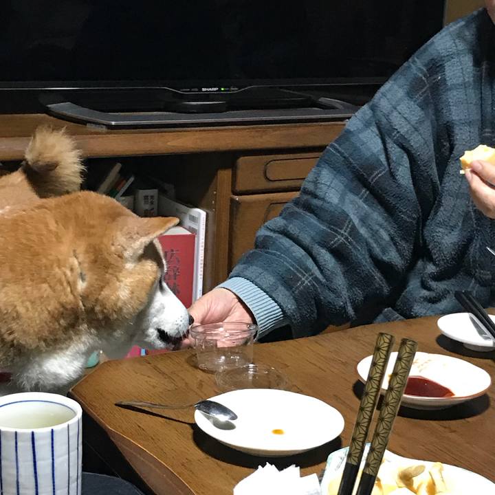 4f7b559f f30e 4519 940f c970336a2e8d 1514814327144