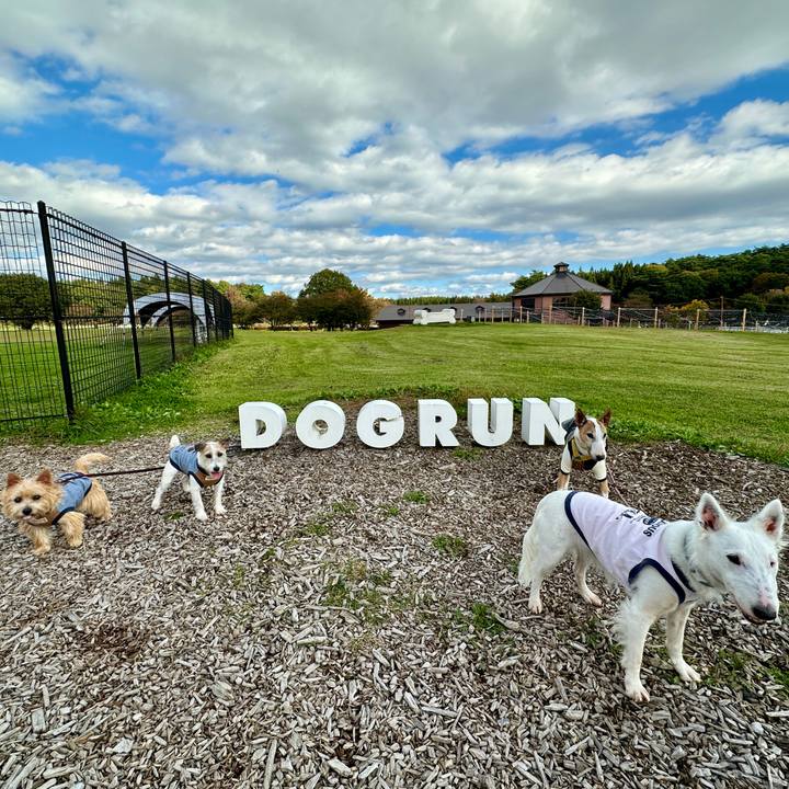 4f7b6463 a378 42b3 86cd a2220adf7cee 1761401939688