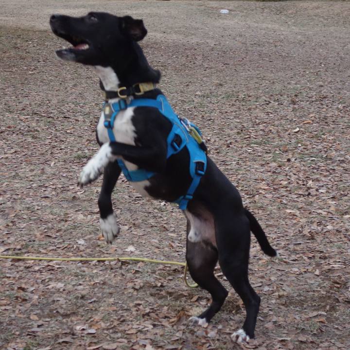 4f7bc794 3fac 4466 b1ad 480fc54a65da 1609807141558