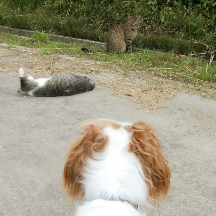 4f7bd289 d1f9 421d 9272 7ab0991d2d67 1529367606919