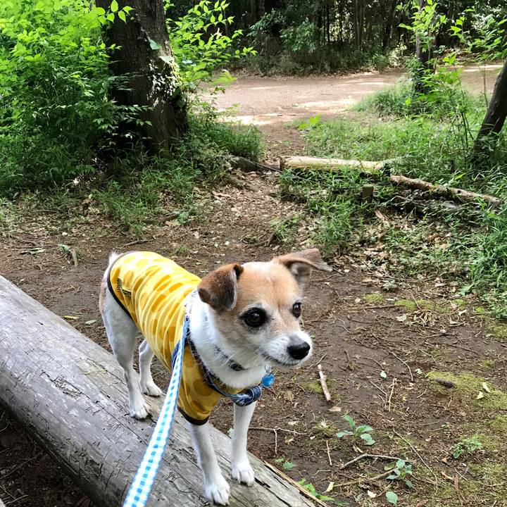 4f7beedf 937b 4981 a3d9 2983292650d2 1620174011030