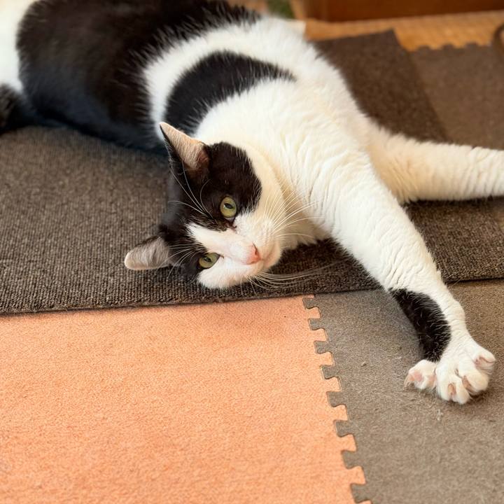 4f7bf0c7 c7fe 485b a15e a1df6bc4df80 1733971385527