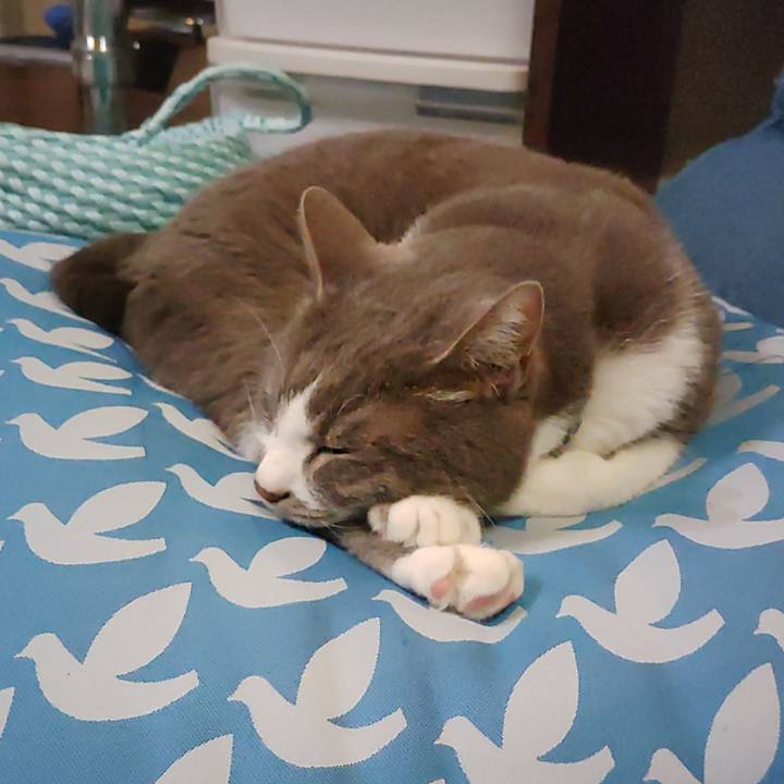 4f7c2bf8 310f 45fe 84cb afb24a490cfe 1712578149701