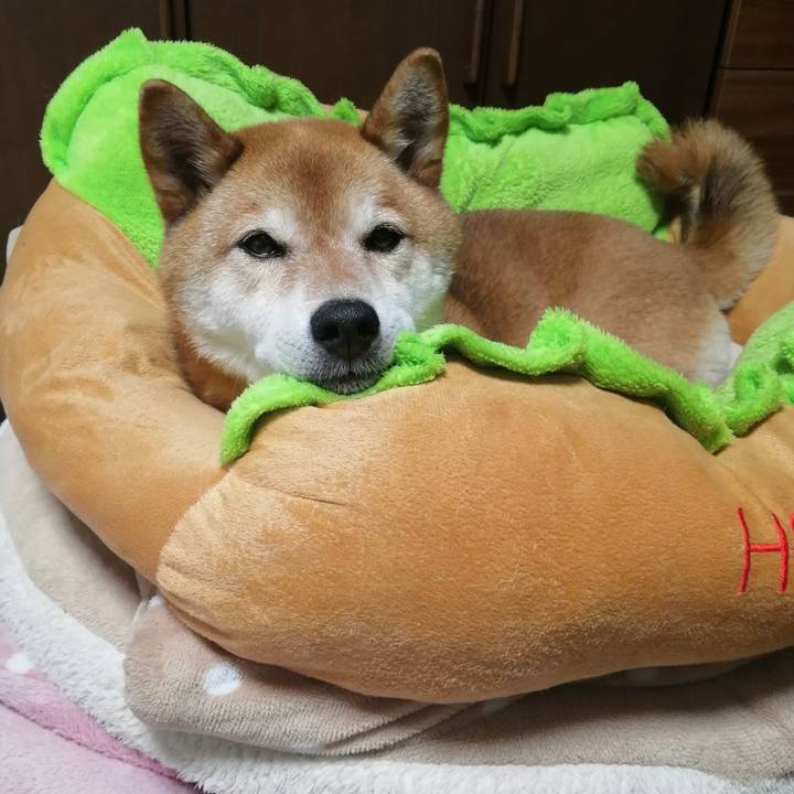 4f7c37dd 3817 4199 ac15 5d9b93f2d35a 1685436992271