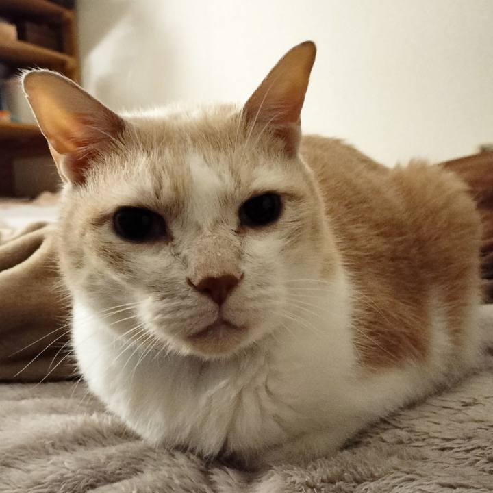 4f7c3d4e 60db 44f0 9479 1f571086e125 1670537067335