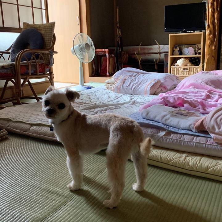 4f7c48c5 6f99 45f5 8f46 65038c9484d8 1564532631427