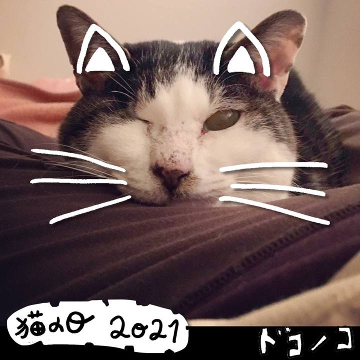 4f7c6f69 6e1b 40f3 b6df 2c5e68bb5a89 1613979368523