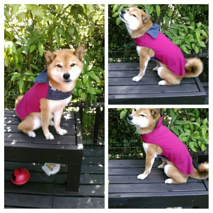 4f7c823a 5f06 45ad 8519 4d32fce7b1f4 1560472920970