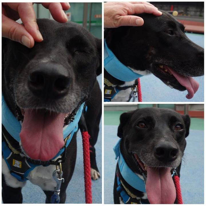 4f7c89fa 0ad6 4faf ac2a 5538503e0584 1629850342862