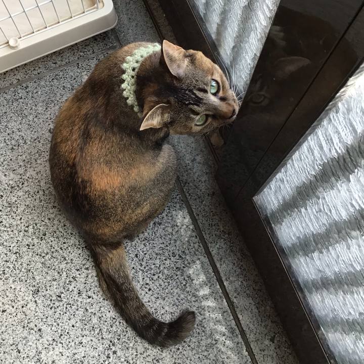 4f7ce5cc 39f9 4e25 bf38 a77db0db41c5 1644646068703