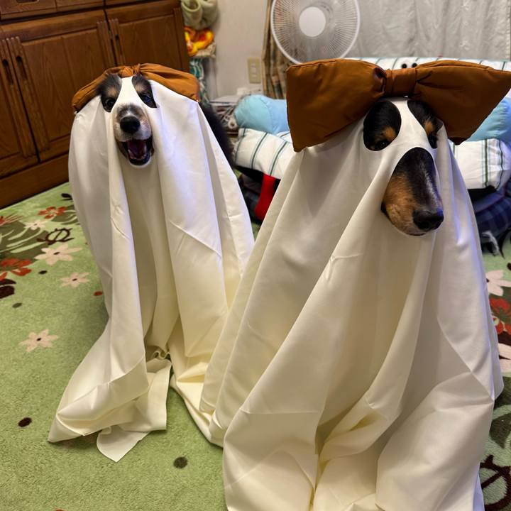 4f7d1991 d9ff 4837 a75b d62cae1696aa 1759513765097