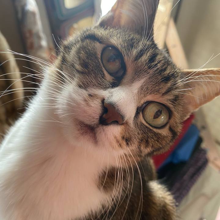 4f7d7399 1c68 4931 b18d 87358206ed56 1646096733788