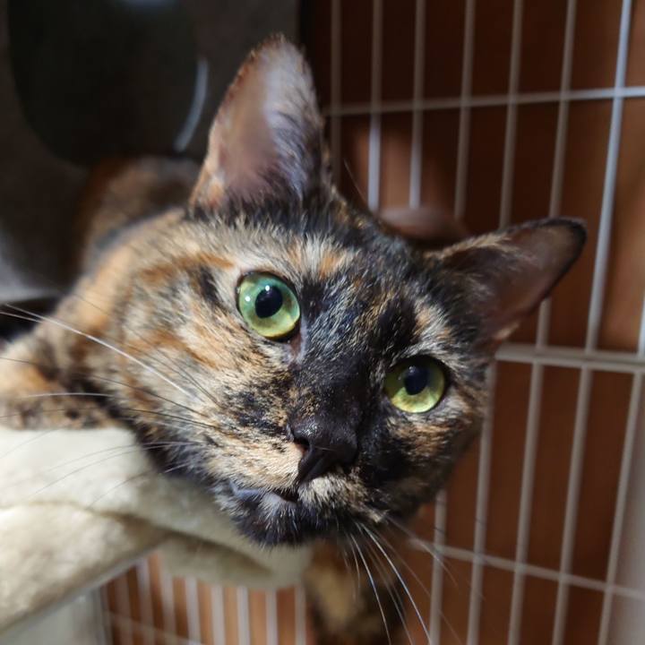 4f7d7b3d cf8c 4128 b040 a0baa3bce380 1700476697272