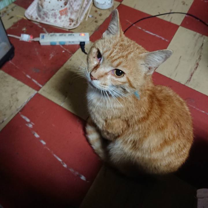 4f7dc97f 1cd4 4bd2 9d58 7f8e7ebd5f94 1557865404242