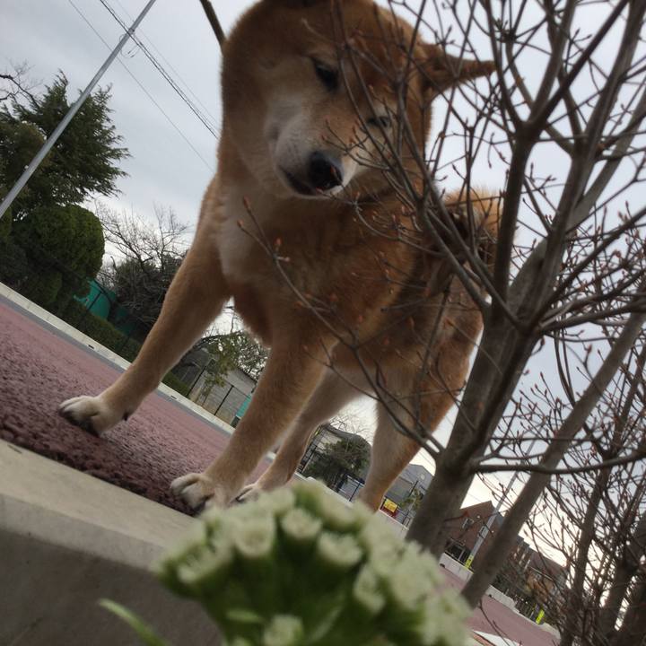 4f7de0dd 3433 4628 8210 08e90e0e0ef9 1583545094580