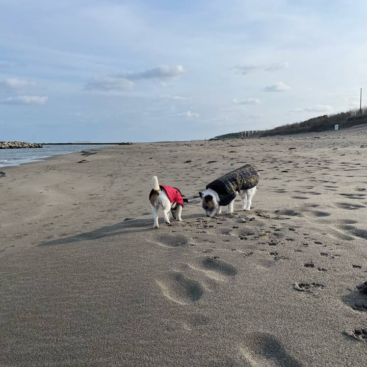 4f7ded4c 580c 41e3 b540 f66e9ecb064a 1644712786277