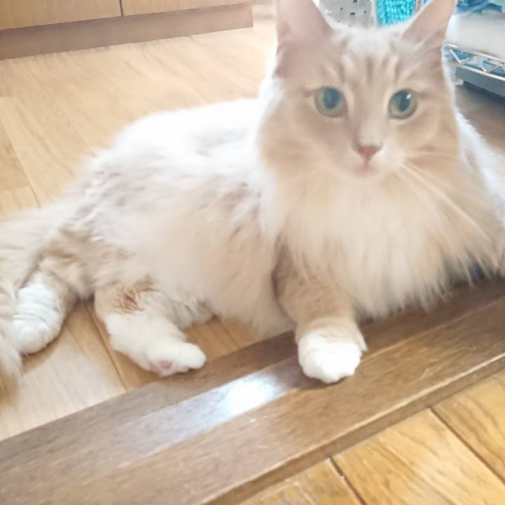 4f7df3dc a4b1 4eaa 8bb1 88ff8918de88 1561343804452