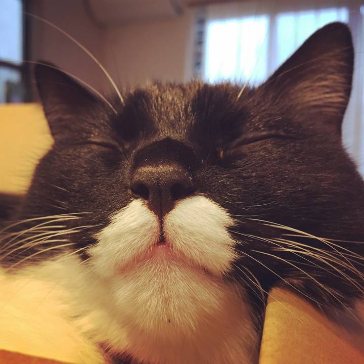 4f7e1460 0b37 44a1 b7e1 ed5e462f7a76 1508030773958