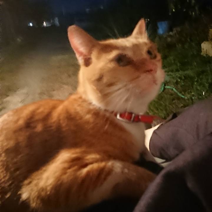 4f7e1f87 17e3 41d6 bd82 2c91c44cc22f 1570009208227