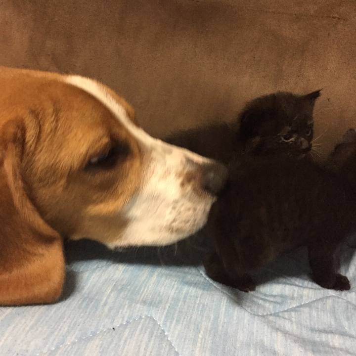 4f7e35d3 b997 49ce 9750 fe8be1c79fe7 1524492427244