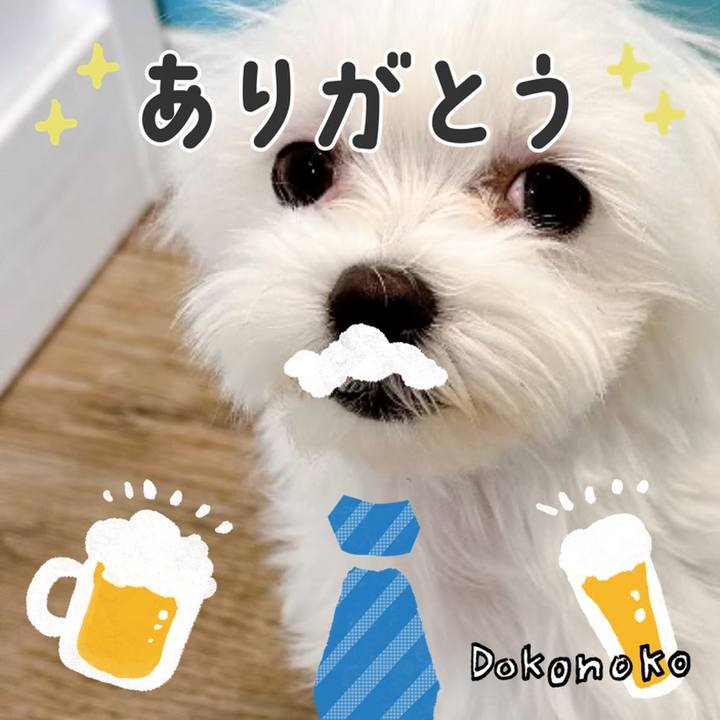 4f7e59e9 8486 42b2 b18d 80f3b46847c9 1717579266625