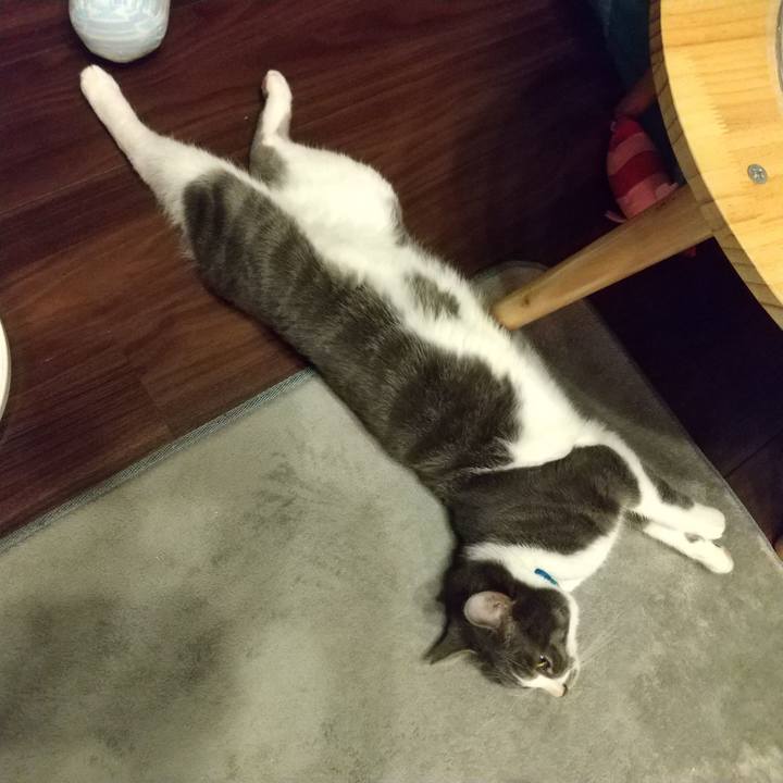 4f7e69e6 281c 4efe 8e58 564983ced1f6 1605612775982