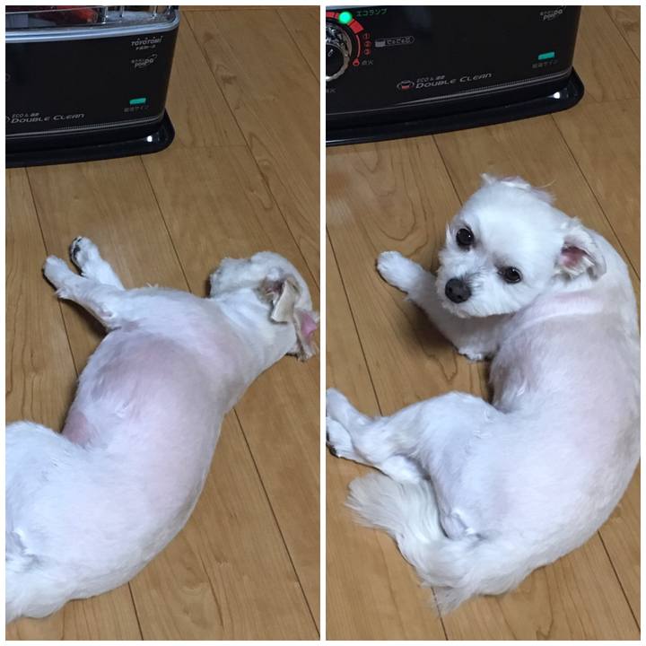 4f7e6bc0 53f6 4912 9cc9 c44f9e2e658a 1555144335377