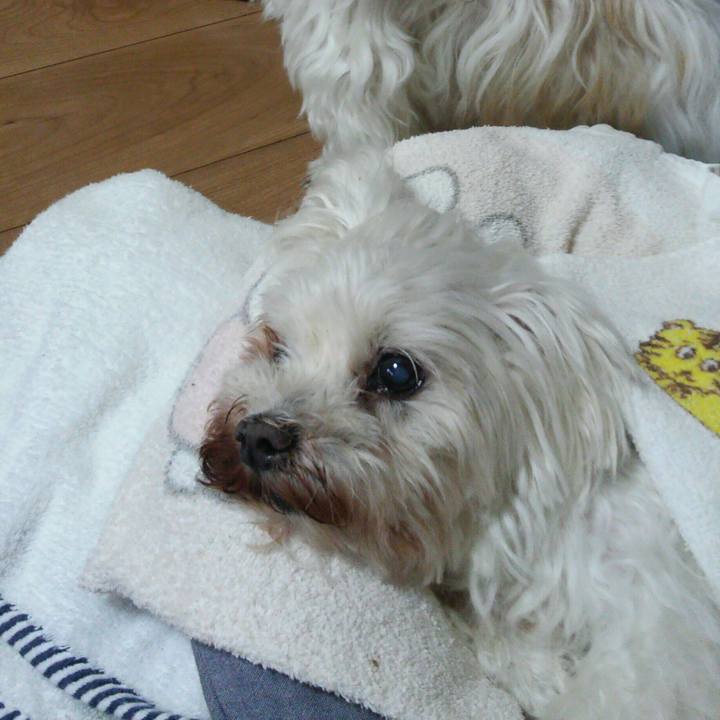 4f7e6d5d 3c77 46da afc1 1b1d07e15461 1509024312355