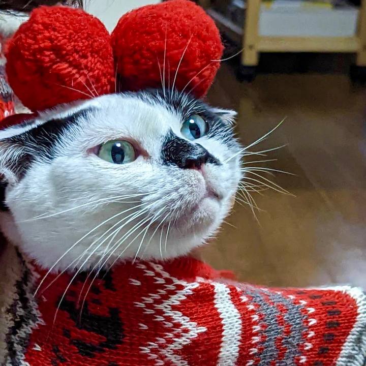 4f7efee6 fe1e 4990 9493 bf35881fc2d6 1666571807244