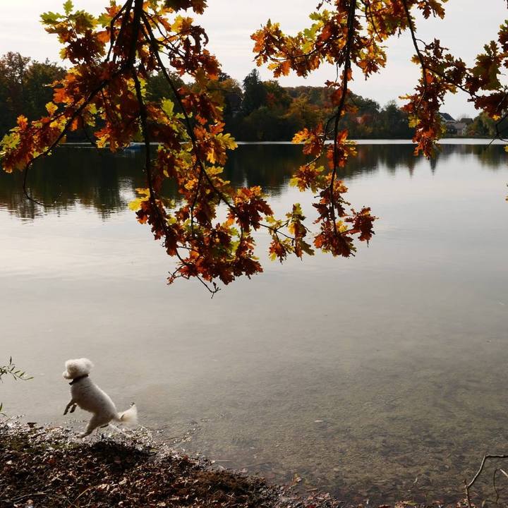 4f7f3704 13ce 4602 9cf7 5915da00ec29 1761169104586