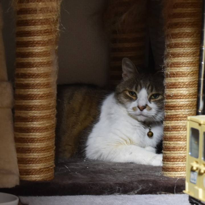 4f7f7e1c 482f 449b ab9f 495f5d894478 1748534872444