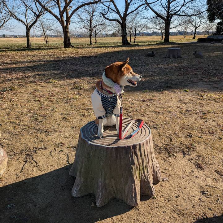 4f7f87f9 198f 4462 80b5 1c10ce1ea1e6 1737215240384