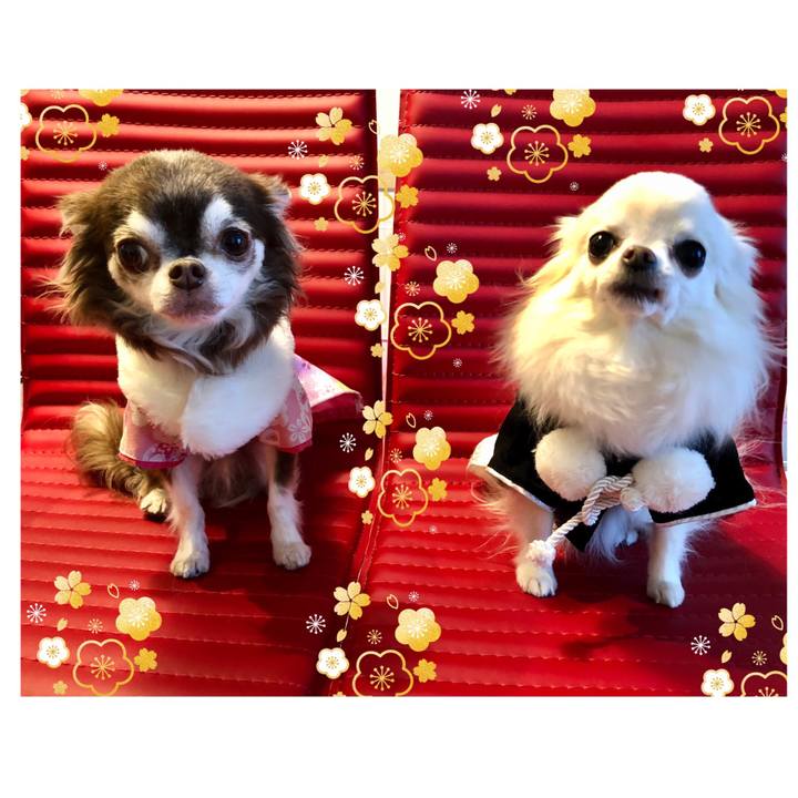 4f7facb1 535e 44e5 ac85 148b54b540f8 1609498691282