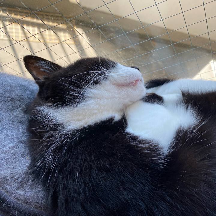 4f7fda3d b9b0 4c93 9158 6a4498986987 1666238992812