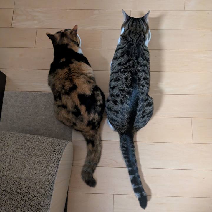 4f80252e 9779 4432 b84b b6922d5e8ac8 1759476980739