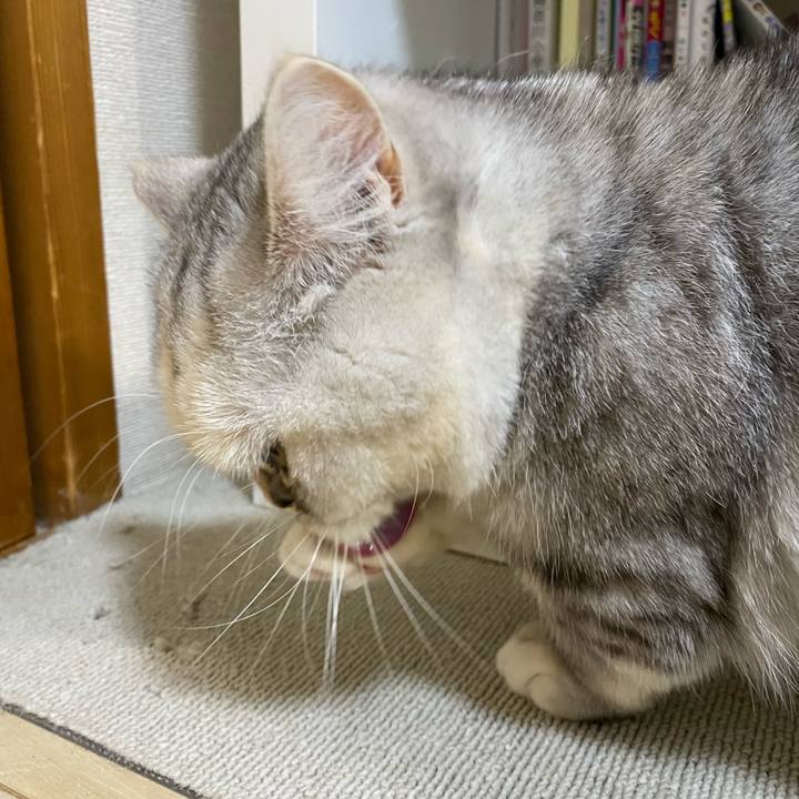 4f803073 48df 4a49 973b e0a31bc1ef45 1737878895860