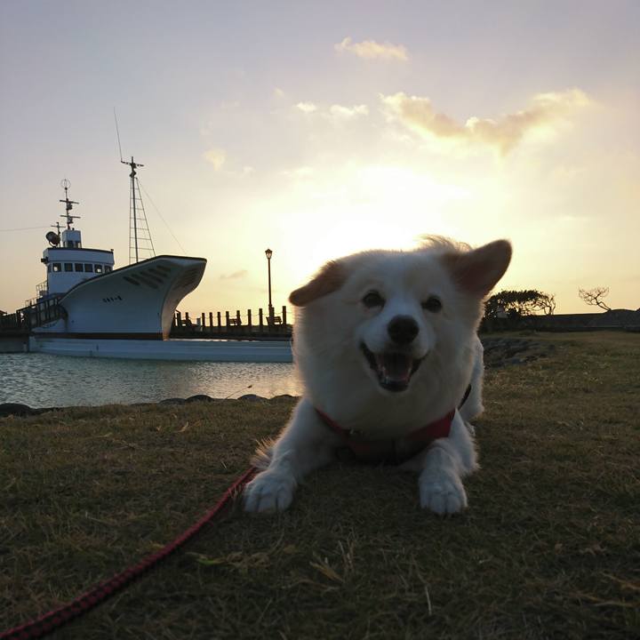 4f805e8e 0f8c 4aa8 bac7 de6c2473115f 1538860328536