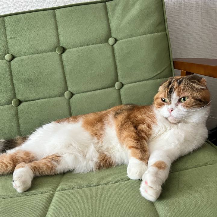 4f8064e5 cc98 4c57 9783 d0946830b3ae 1714706128317