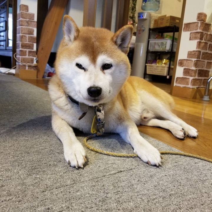 4f806678 2765 4fd2 95b3 0861c9dd0756 1603422989130