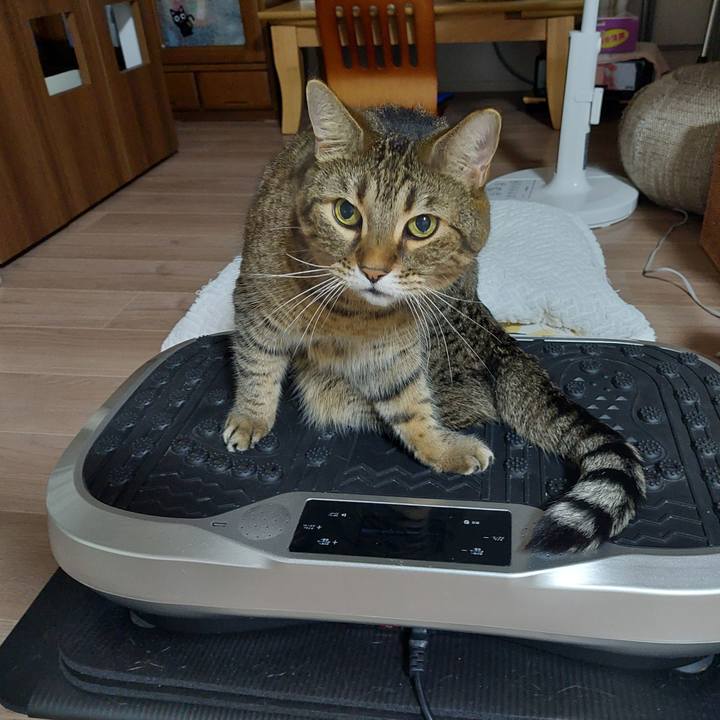 4f80924e f859 4db6 a2a6 3f5857cba414 1634852854422