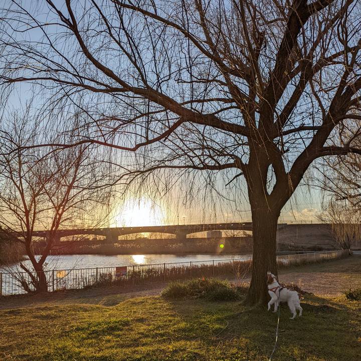 4f80a835 5fee 4f3d 91b4 c814964435cd 1642411352860