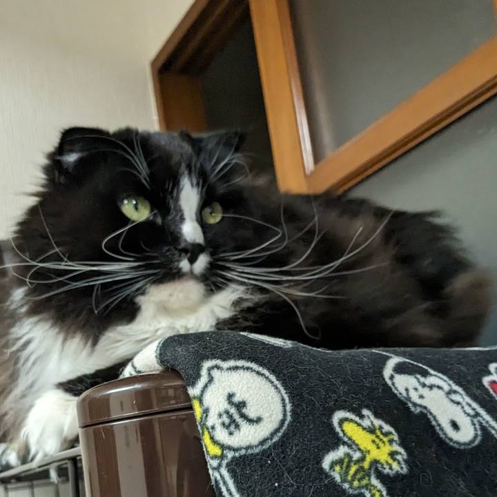 4f80bcfa da9a 4328 b71d 55b1678ed75b 1710681231741